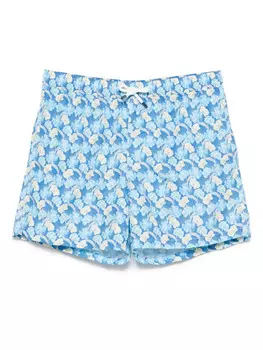 Плавки Fedeli Madeira, синий