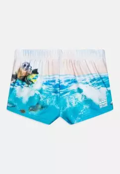 Плавки Nansen Baby Toddler Molo, синие