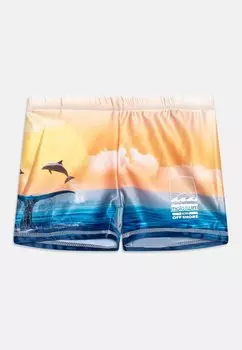 Плавки NORTON PLACED TRUNKS Molo, цвет multi-coloured
