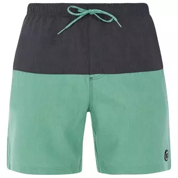 Плавки Protest Prtheli Beachshort, цвет Frosty Green