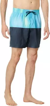 Плавки Quiksilver Butt Logo 17" Volley, цвет River Blue