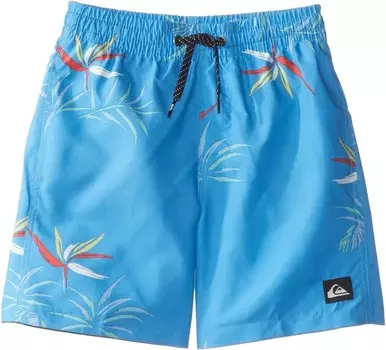 Плавки Quiksilver Kids Everyday Mix Volley, цвет Azure Blue