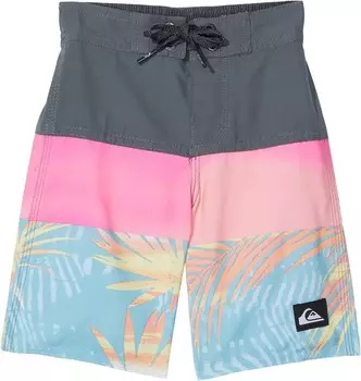 Плавки Quiksilver Kids Everyday Panel, цвет Iron Gate