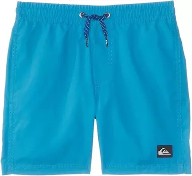 Плавки Quiksilver Kids Everyday Solid Volley 12, цвет Swedish Blue