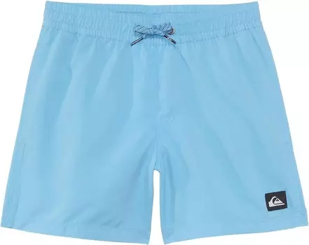 Плавки Quiksilver Kids Everyday Solid Volley 14, цвет Alaskan Blue
