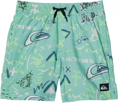 Плавки Quiksilver Kids Next Gen Volley, цвет Pastel Turquoise