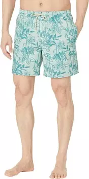 Плавки Quiksilver Waterman Loose Ways Volley 17", цвет Subtle Green