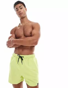 Плавки Regatta Mawson iii цвета: лайм/темно-синий