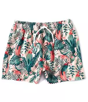 Плавки Scene & Heard для больших мальчиков 8–20 лет с птицами и пальмами Scene&Heard, мультиколор