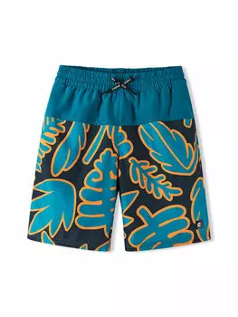 Плавки-Шорты обычного кроя 5200155B Reima, синий