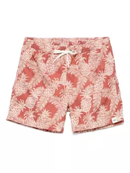 Плавки-шорты с принтом Ananas Altea, коричневый