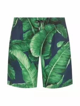 Плавки-шорты с принтом Dolce&Gabbana, мультиколор