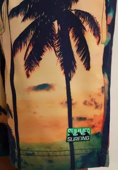 Плавки WE Fashion, разноцветные