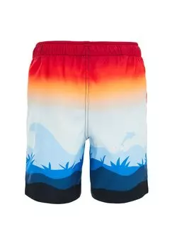 Плавки WE Fashion, разноцветные