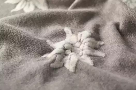 Плед David Fussenegger