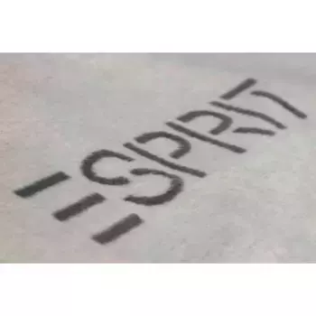 Плед Esprit, серый