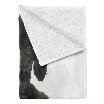 Плед twentyfour Pudel, 175 см цвет dunkelgrau/wei