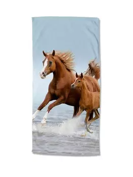 Пляжное полотенце GMD Living, красочный