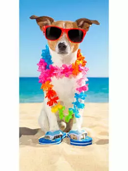 Пляжное полотенце GMD Living, красочный