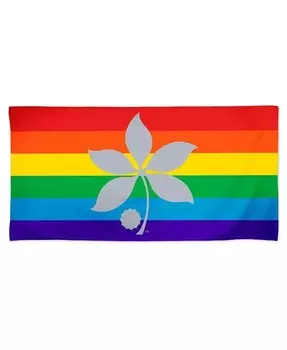 Пляжное полотенце Pride Spectra 30 x 60 дюймов штата Огайо Buckeyes Wincraft, мультиколор