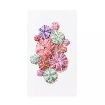 Пляжное полотенце Urchin Graccioza, белый