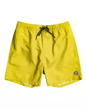 Пляжные шорты Billabong "All Day Layback", цвет Acid Green