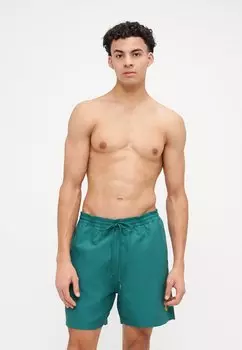 Пляжные шорты CHASE SWIM TRUNKS Carhartt WIP, зеленый