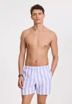 Пляжные шорты REGULAR FIT BROAD STRIPE Shiwi, цвет Purple Rose Stripe
