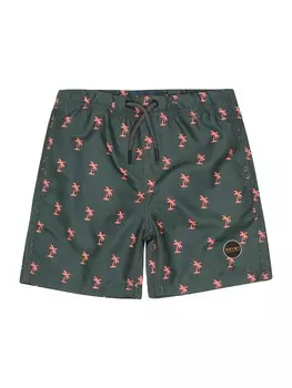 Пляжные шорты Shiwi, цвет Fir