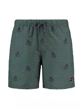 Пляжные шорты Shiwi, цвет Green/Grass Green