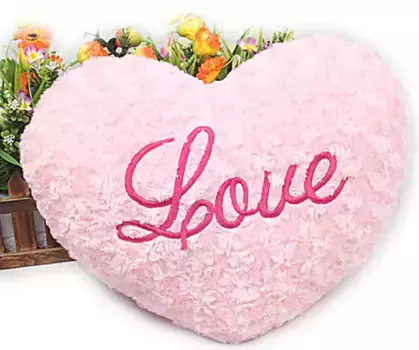 Плюшевая игрушка-подушка Hameb