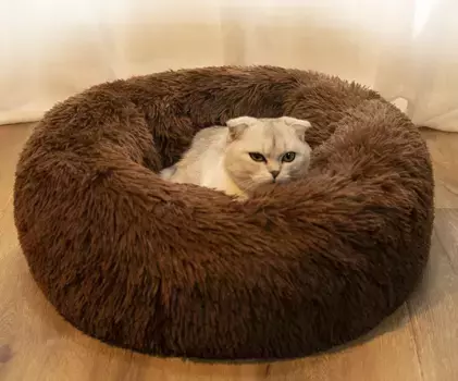 Плюшевая игрушка-подушка Odsellingaaa