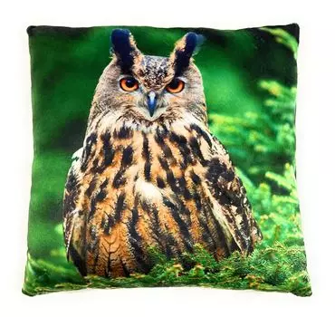 Плюшевая подушка On Womania Owl Eagle Kautz Bird для дивана или кровати в качестве украшения или приятная подушка 35 x 35 см Onwomania