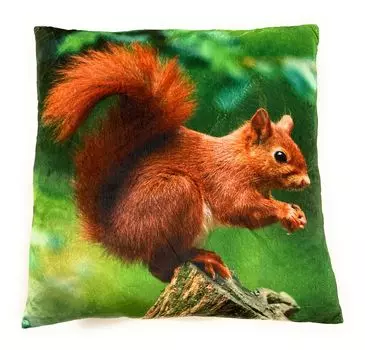 Плюшевая подушка On Womania Squirrel Tree Squirrel для дивана или кровати в качестве украшения или приятная подушка 35 x 35 см Onwomania