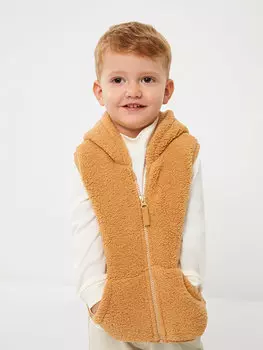 Плюшевый жилет на молнии для маленьких мальчиков с воротником и капюшоном LCW baby