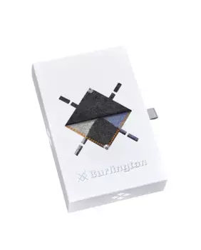 Подарочная коробка: 2 пары мужских носков: 1 однотонный и 1 с бриллиантами Burlington, мультиколор