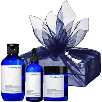 Подарочный набор средств по уходу за кожей Basic Line — Праздничные принадлежности Pyunkang Yul