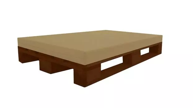 ПОДДОННАЯ ПОДУШКА (120x80x12 см (Орхидея) МАТРАСНАЯ ПОДУШКА С искусственной кожей, негорючей MVSS 302 - ПЕНА, стабилизированная УФ-излучением ДЛЯ ЕВРОПАЛИТКИ - RG40/60 FIRM Dibapur, бежевый