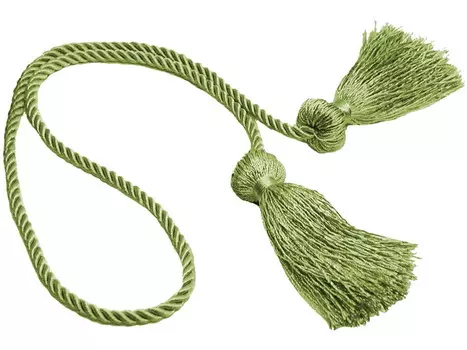 Подхваты для штор DecoPro, зеленый