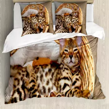 Пододеяльник Abakuhaus, коричневый