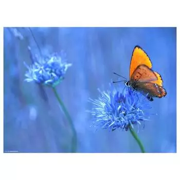 Подставка для столовых приборов «бабочка i» (набор из 12 шт.) Tischsetmacher, мультколор