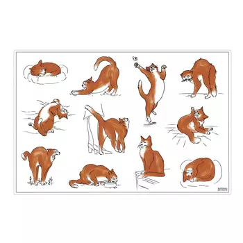 Подставка Winkler, 30x45 см, многоцветный