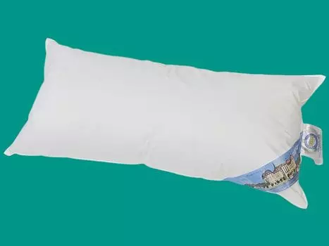 Подушка 40х80 подушка для сна пуховая подушка перьевая подушка 550г Sluka, белый