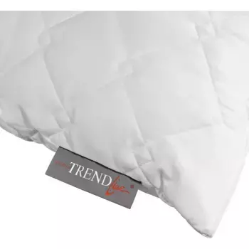 Подушка Badenia