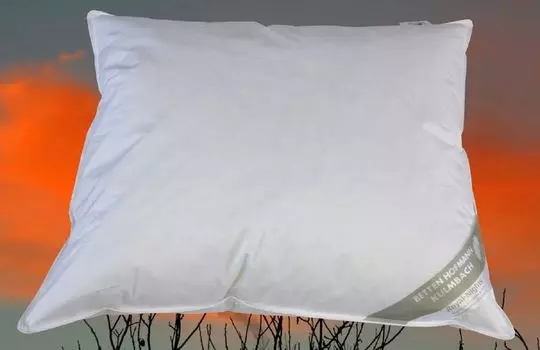 Подушка BENELUX подушка пуховая подушка 60х70 см 100% пух пушистый мягкий 700 г твердый Betten Hofmann