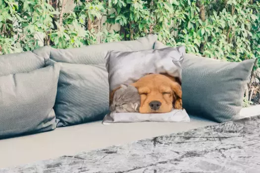 Подушка для сиденья MuchoWow, цвет Bunt