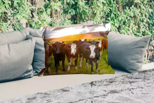 Подушка для сиденья MuchoWow, цвет Bunt