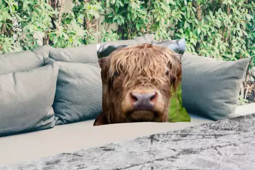 Подушка для сиденья MuchoWow, цвет Bunt