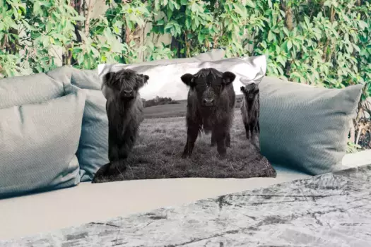 Подушка для сиденья MuchoWow, цвет Bunt