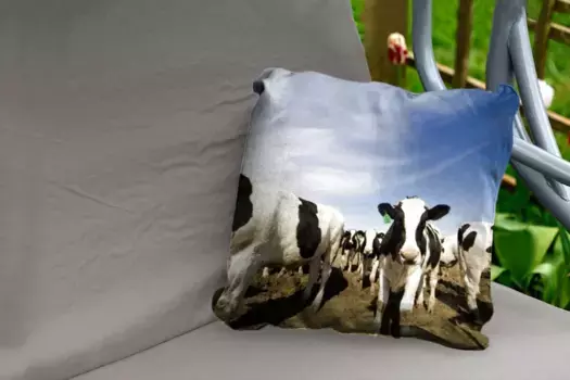 Подушка для сиденья MuchoWow, цвет Bunt